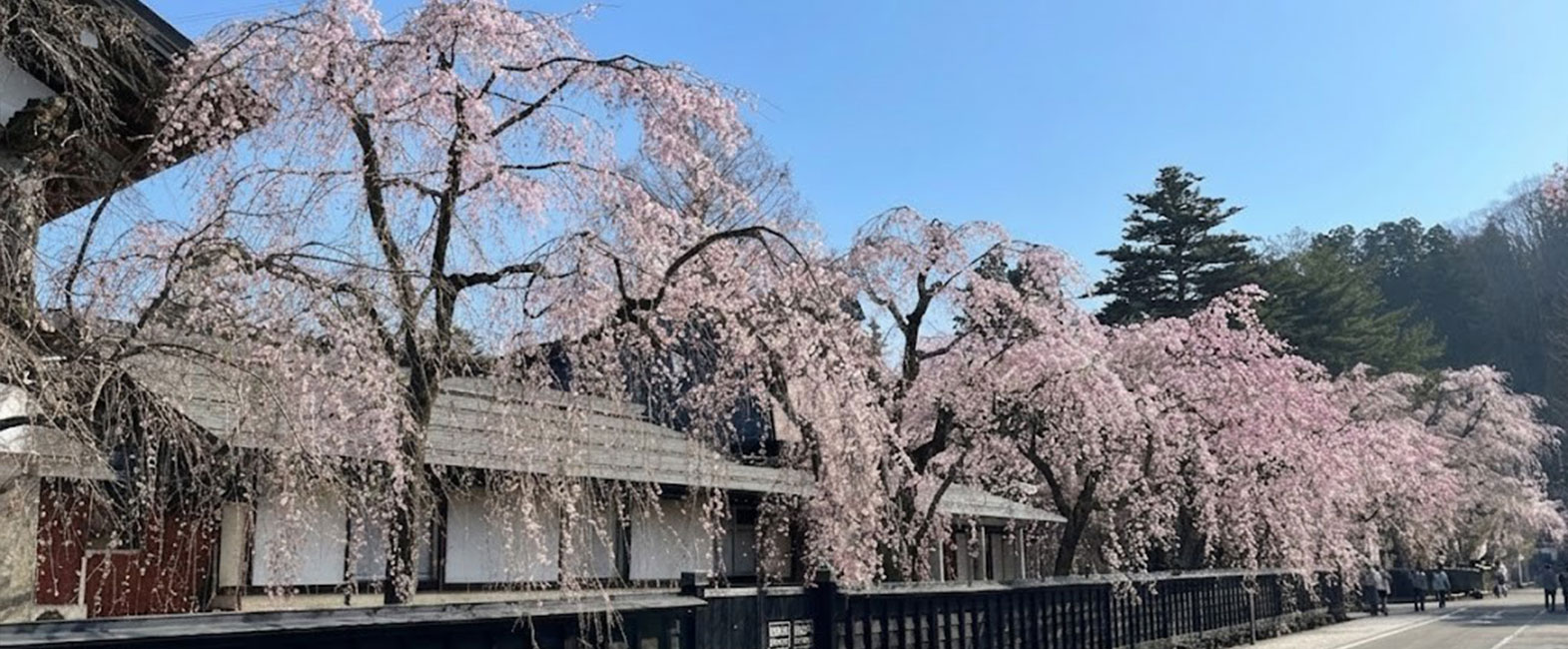 武家屋敷通り（角館）