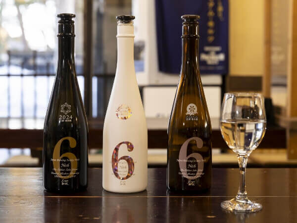 新政NO.6 Rtype/Stype/Xtype